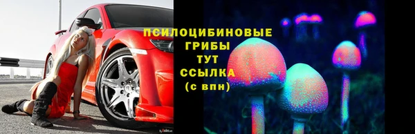 соль ск Армянск