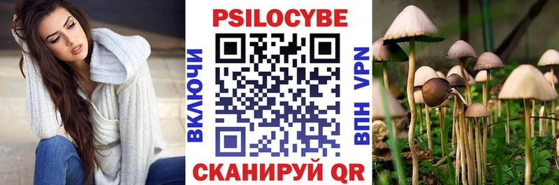 Псилоцибиновые грибы прущие грибы площадка Telegram Ростов