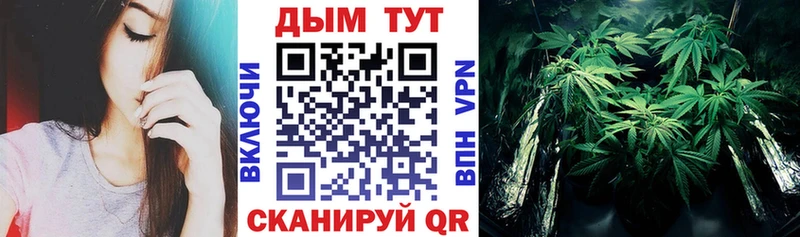 где продают   Ростов  мега ссылки  Бошки марихуана индика 